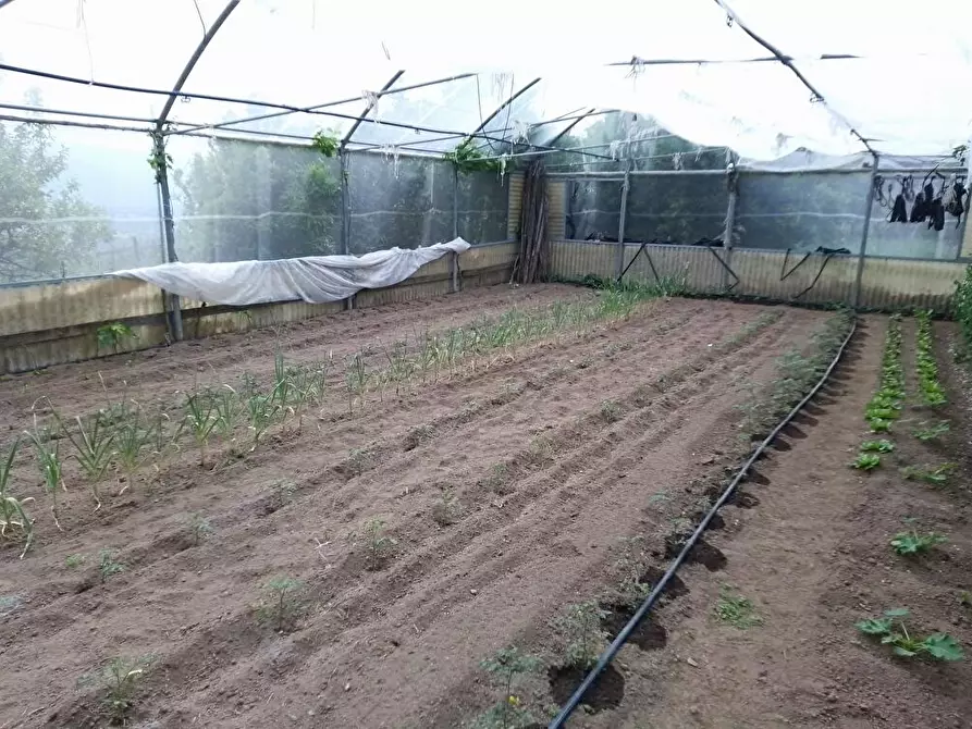 Immagine 4 di Terreno agricolo in vendita  in Via Villa Venere 1 a Sarno