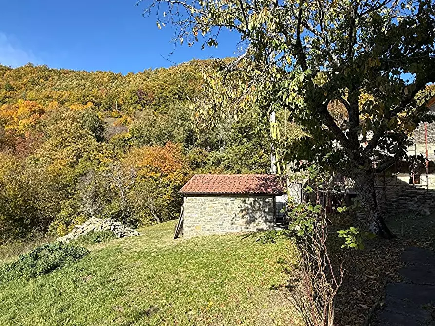Immagine 14 di Rustico / casale in vendita  a Bardi