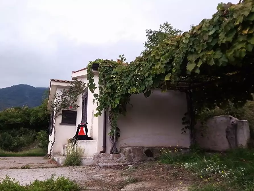 Immagine 14 di Terreno agricolo in vendita  in Via  Sant'Eramo 10 a Sarno