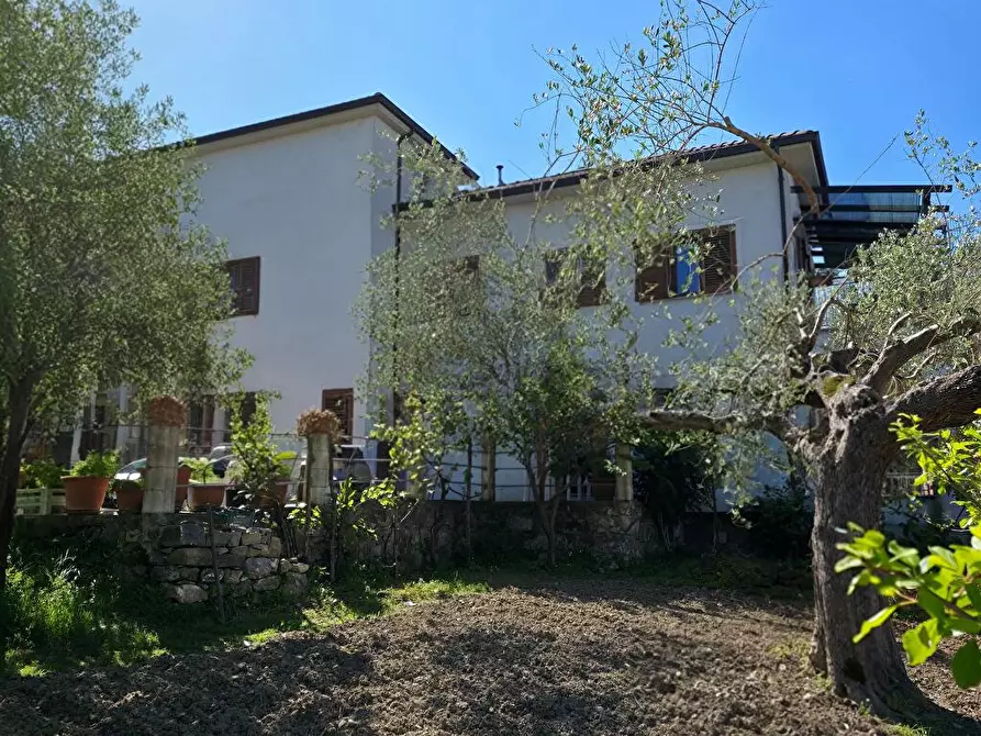 Immagine 2 di Casa indipendente in vendita  in via Olivelle 2 a Ascea