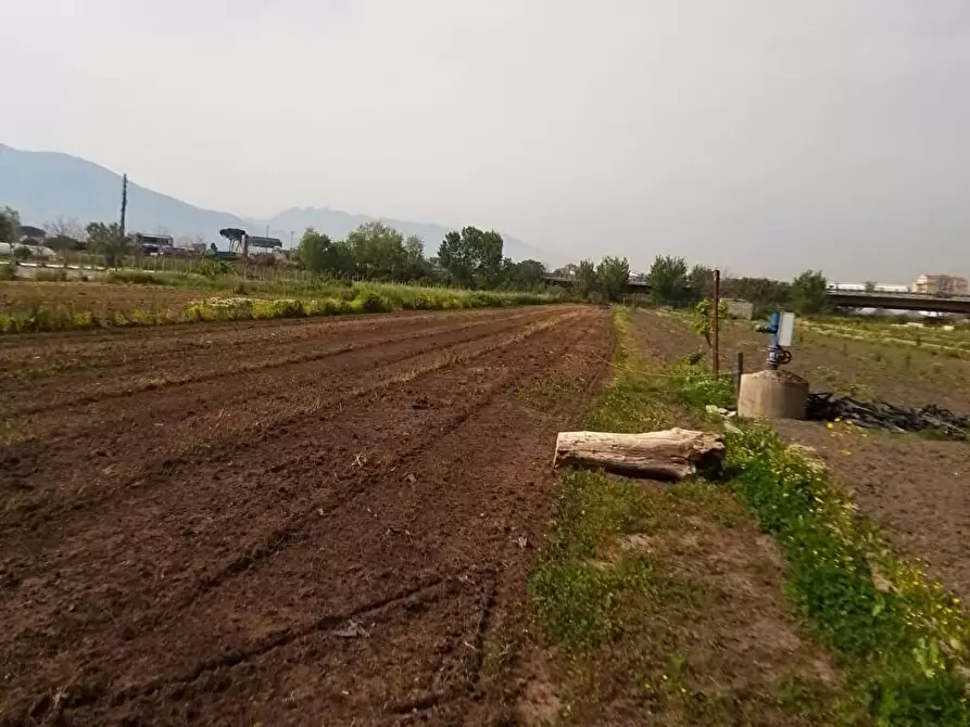 Immagine 3 di Terreno agricolo in vendita  in Via Fontanelle 1 a Sarno