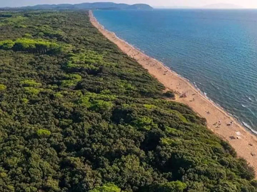 Immagine 1 di Abitazione tipica in affitto  a Monteverdi Marittimo