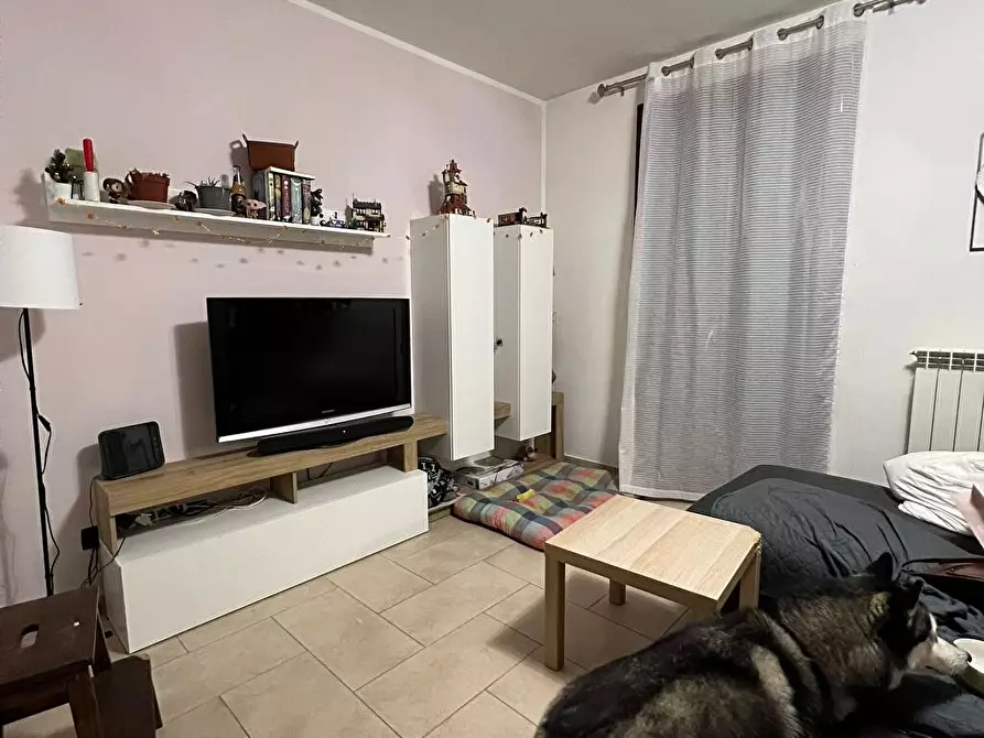 Immagine 6 di Camera in affitto  a Pisa