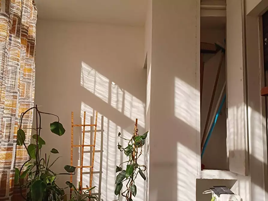 Immagine 27 di Appartamento in affitto  a Potenza