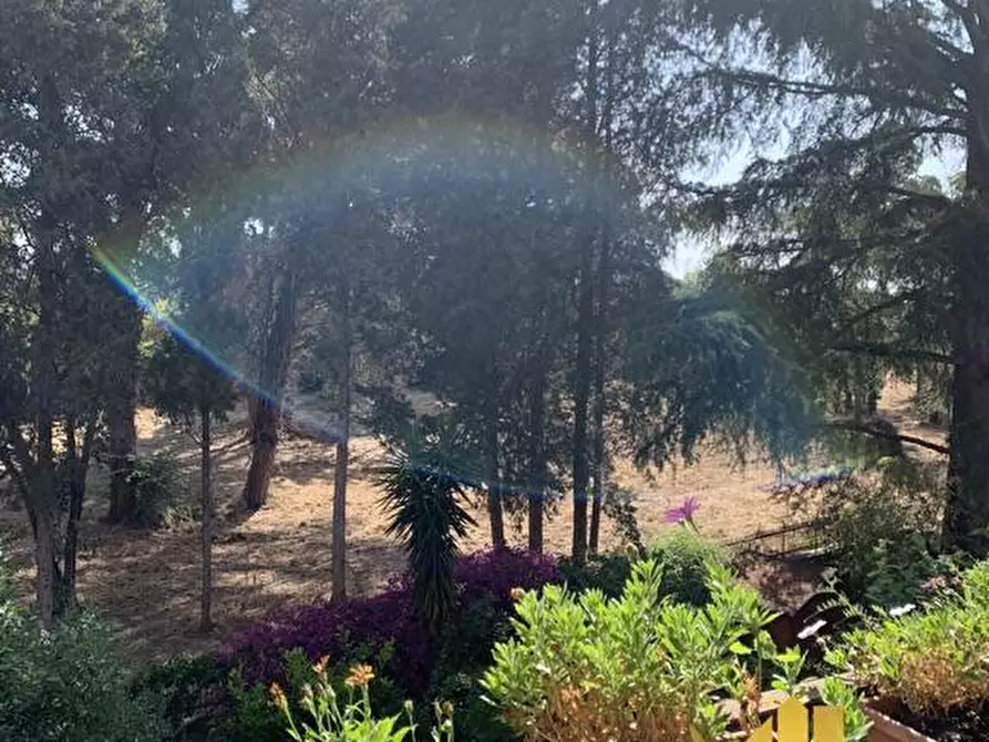 Immagine 23 di Appartamento in vendita  in VIA ANTONIO SOGLIANO 46 a Roma