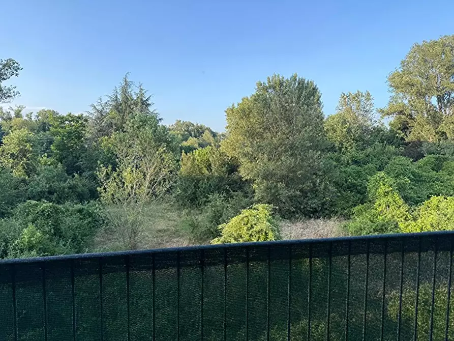 Immagine 10 di Appartamento in affitto  a Lesignano De' Bagni