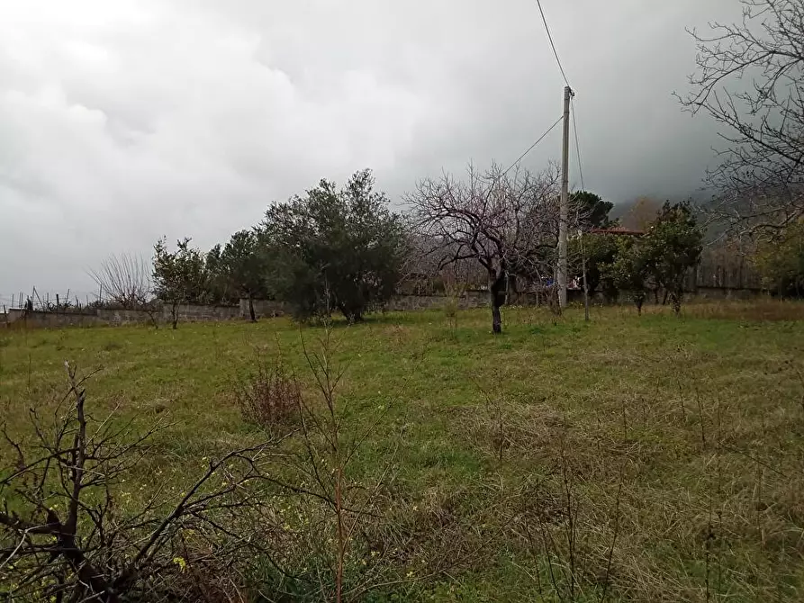 Immagine 1 di Terreno agricolo in vendita  in Via VillaVenere 1 a Sarno
