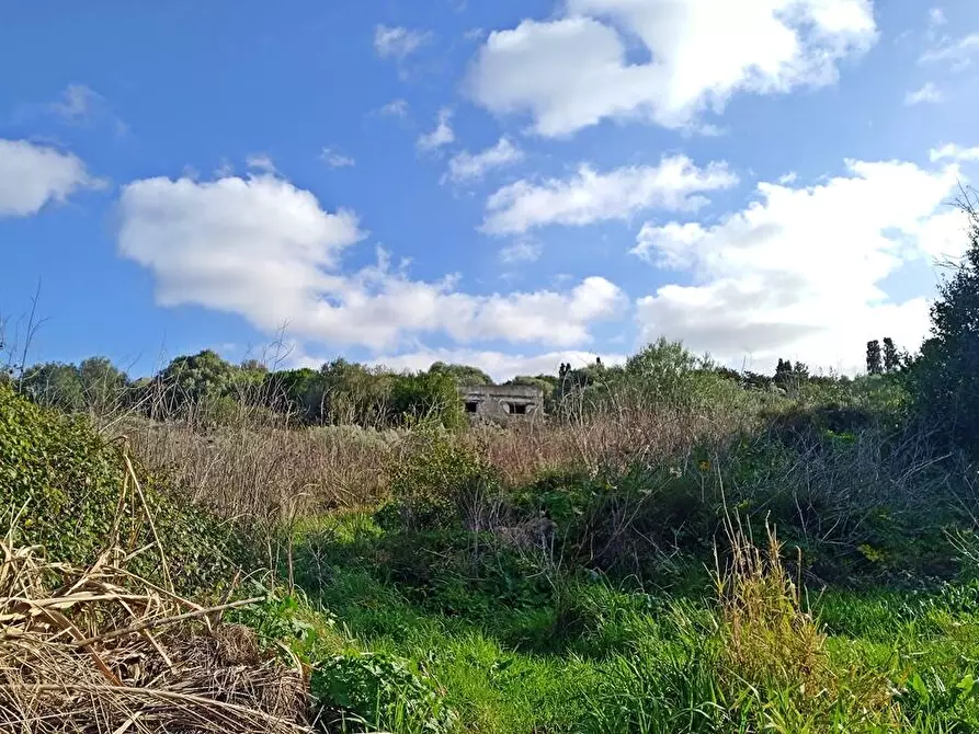 Immagine 2 di Magazzino in vendita  in SV San Quirico snc a Sassari