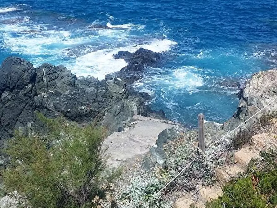 Immagine 8 di Appartamento in affitto  in vai aurelia 1083 a Rosignano Marittimo