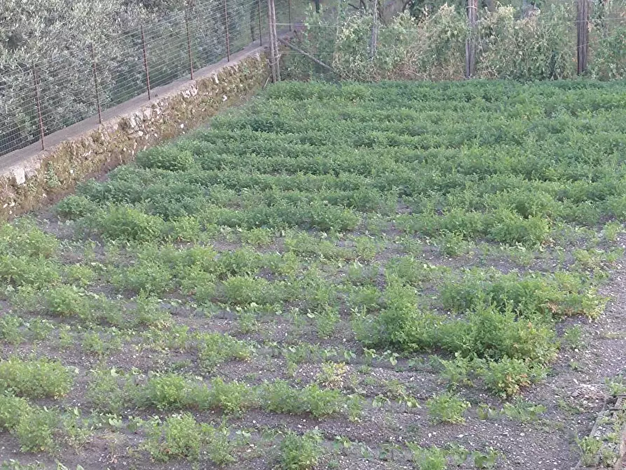 Immagine 7 di Appartamento in vendita  in Via Pioppazze 17 a Sarno