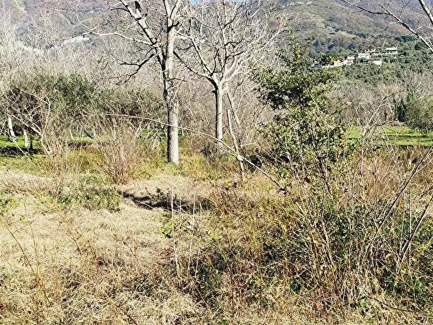 Immagine 2 di Terreno agricolo in vendita  in Via Sant'Eramo 10 a Sarno