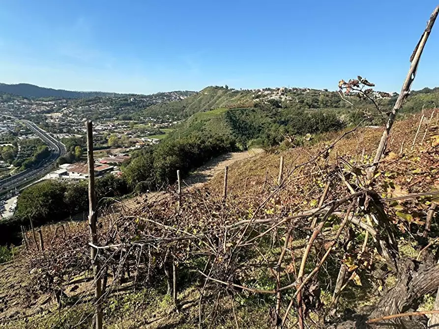 Immagine 5 di Rustico / casale in vendita  in via Cupa Vicinale Cinthia 33 a Napoli