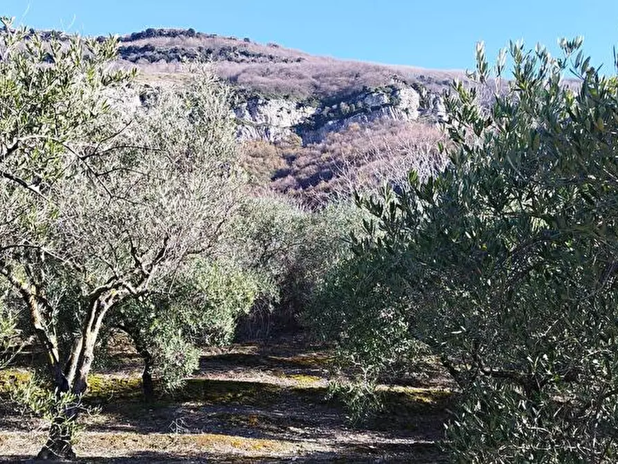 Immagine 5 di Terreno agricolo in vendita  in Via Calabrici 1 a Sarno
