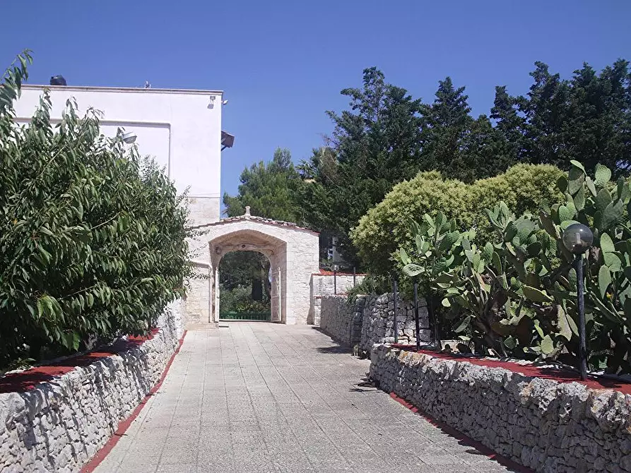 Immagine 14 di Albergo/B&B/Residence in vendita  in S.P. 65 Casamassima/Conversano km 3 km 3 a Casamassima