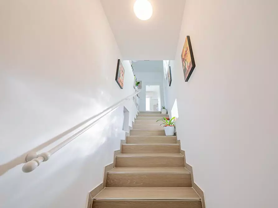 Immagine 6 di Casa indipendente in vendita  in Via Virgilio snc a Notaresco