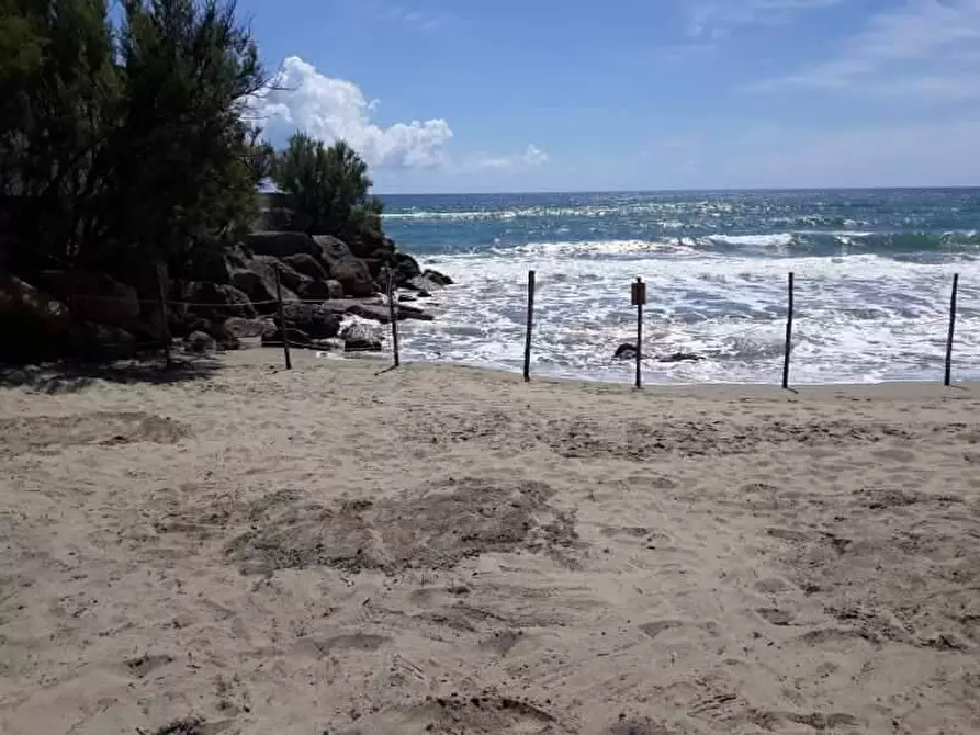 Immagine 8 di Casa vacanze in affitto  a Casal Velino