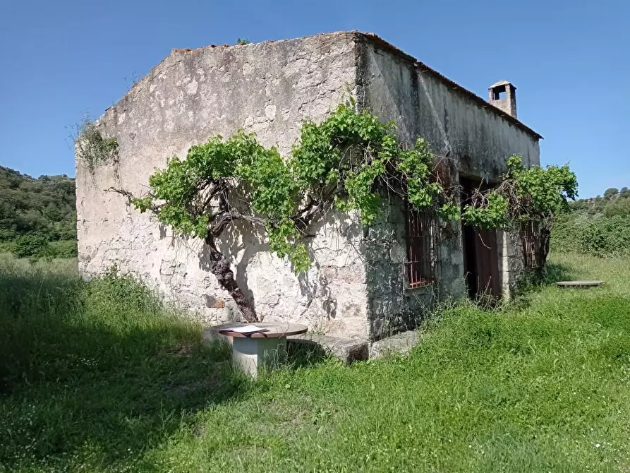 Immagine 19 di Terreno agricolo in vendita  in Matta e Padru snc a Bonorva