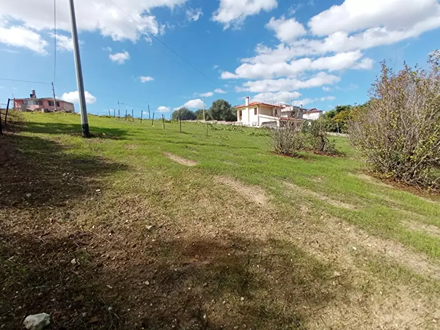 Immagine 5 di Terreno agricolo in vendita  in SV Segasidda Manna 14 a Sassari