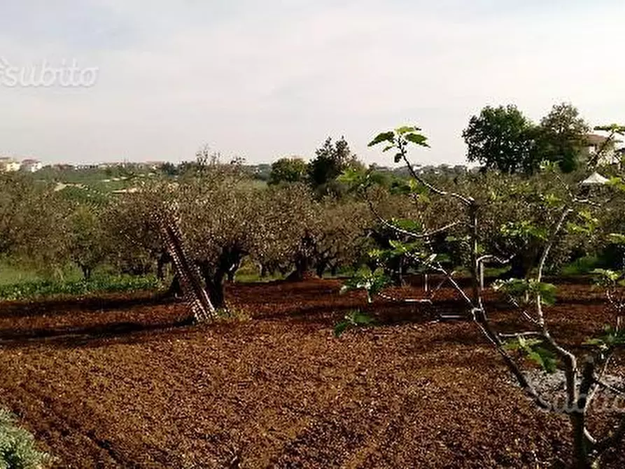 Immagine 3 di Terreno edificabile in vendita  in Via Boreale a Pianella