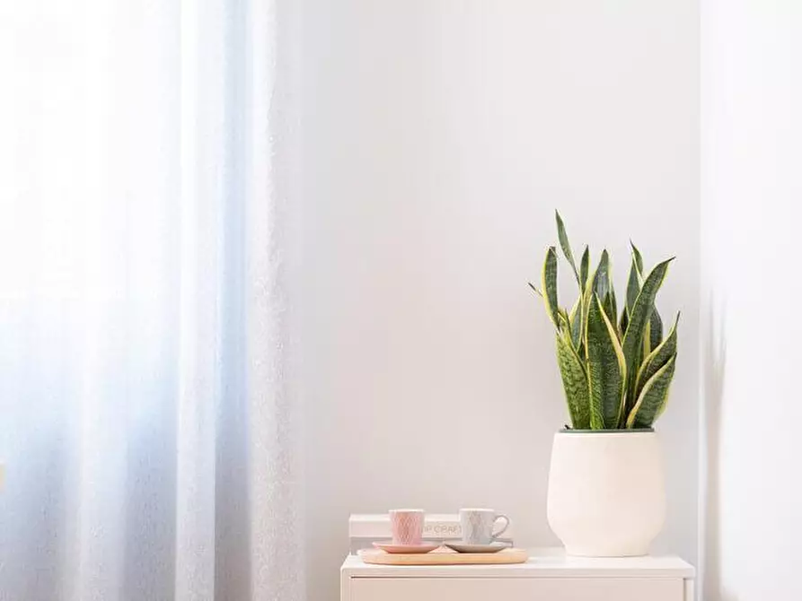 Immagine 7 di Ufficio in affitto  in via giacomo leopardi 13 a Frattamaggiore