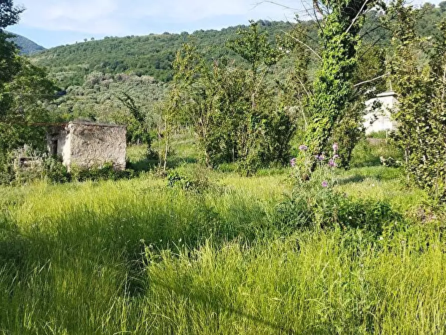 Immagine 10 di Terreno agricolo in vendita  in Via Sant'Eramo 2 a Sarno