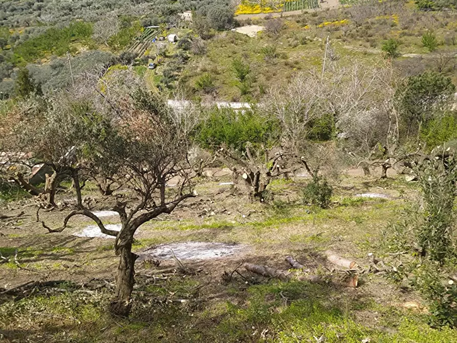 Immagine 8 di Terreno agricolo in vendita  in Via Bracigliano 1 a Sarno
