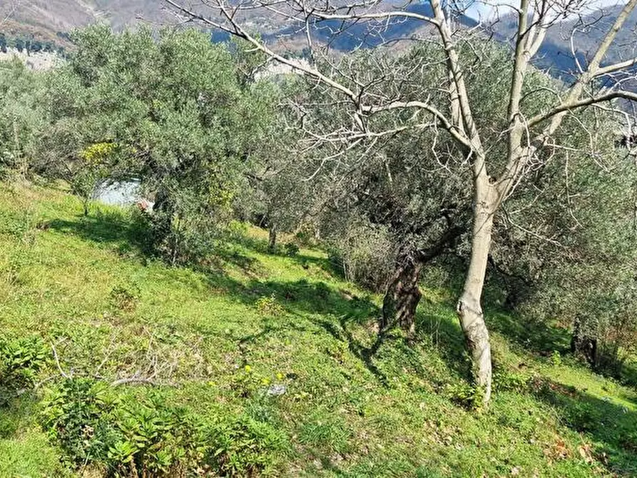 Immagine 1 di Terreno agricolo in vendita  in Via Bracigliano 1 a Sarno