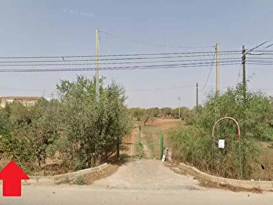 Immagine 1 di Terreno agricolo in vendita  in Stradale per Scoglitti/ C.da Valseca snc a Vittoria