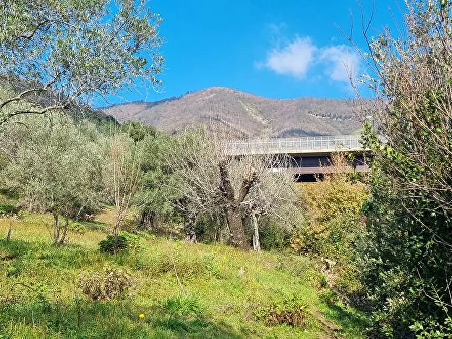 Immagine 2 di Terreno agricolo in vendita  in Via Bracigliano 1 a Sarno