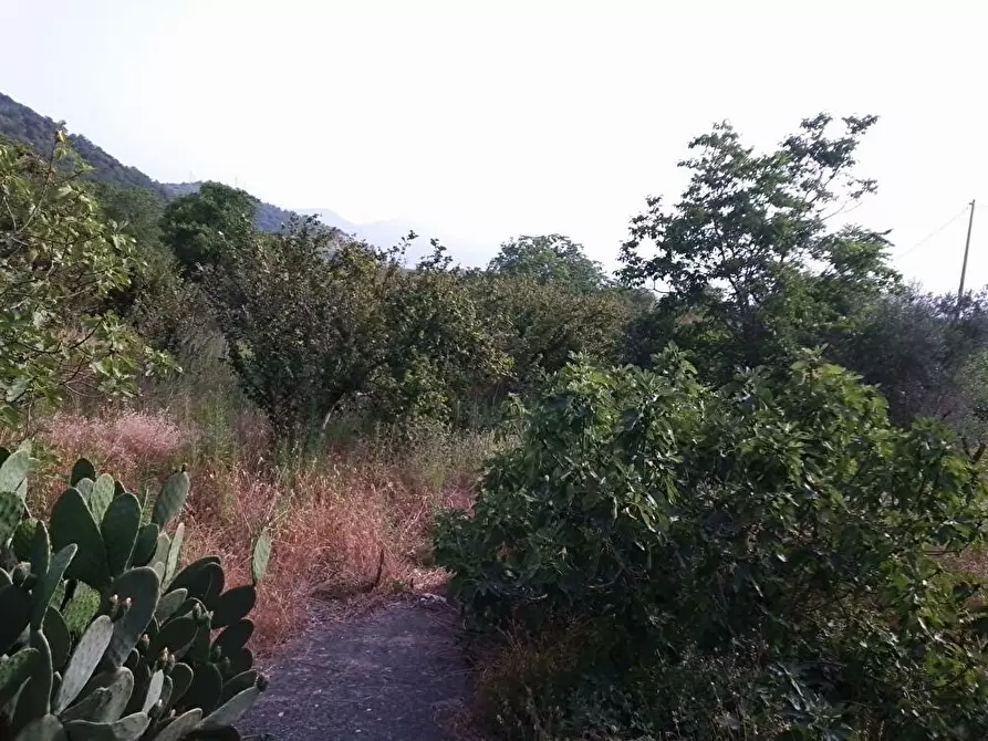 Immagine 3 di Terreno agricolo in vendita  in Via Sant'Eramo 10 a Sarno
