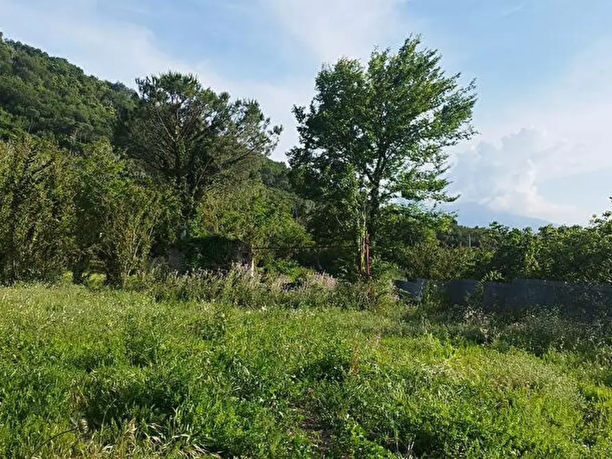 Immagine 6 di Terreno agricolo in vendita  in Via Sant'Eramo 2 a Sarno