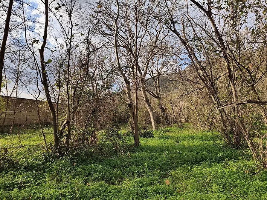 terreno agricolo in vendita a Sarno