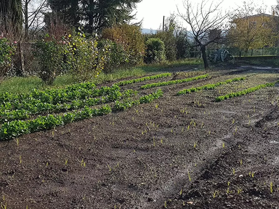 Immagine 2 di Terreno edificabile in vendita  in VIA  GIACOMO LEOPARDI 1 a Nepi