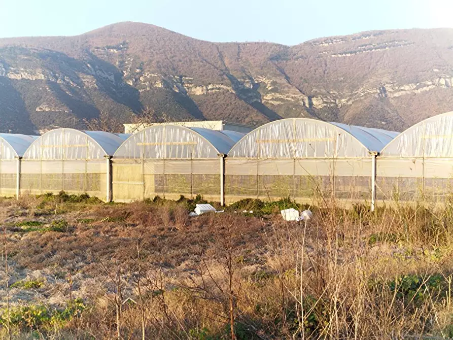 Immagine 2 di Terreno agricolo in vendita  in Zona Industriale Sarno 1 a Sarno
