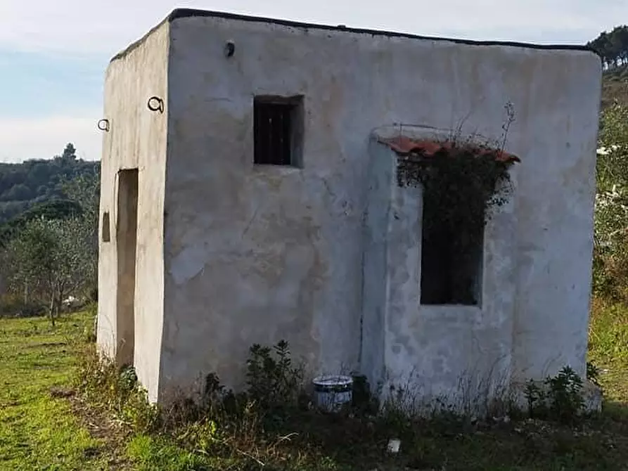 Immagine 1 di Terreno agricolo in vendita  in Via Bracigliano 1 a Sarno