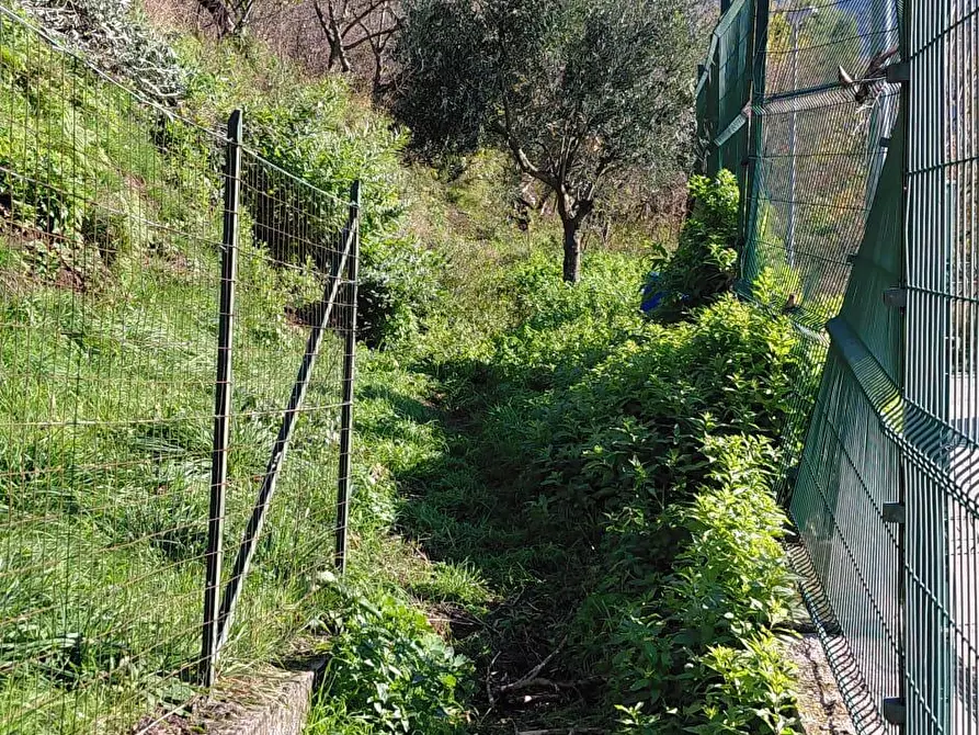 Immagine 2 di Terreno agricolo in vendita  in Via Provinciale 7B 1 a Sarno