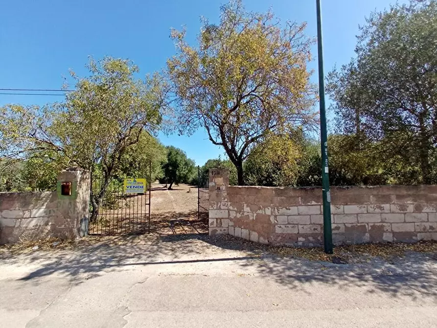 Immagine 17 di Casa colonica in vendita  in SV Pietro d'Ottava 130 a Sassari