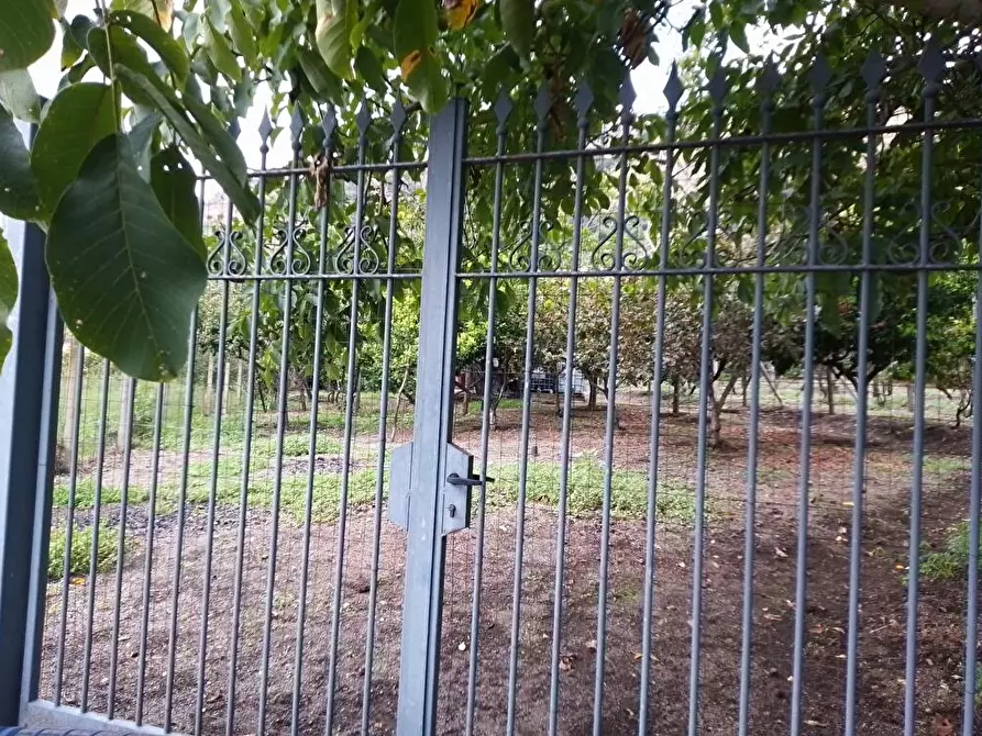 Immagine 2 di Terreno agricolo in vendita  in Via  San Vito 1 a Sarno