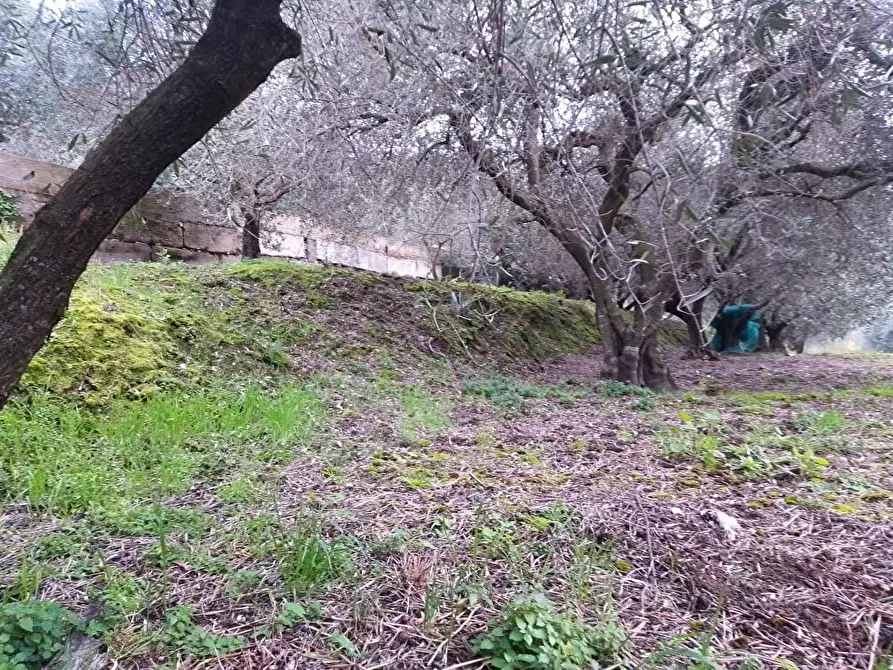 Immagine 2 di Terreno agricolo in vendita  in Via S.Eramo 10 a Sarno