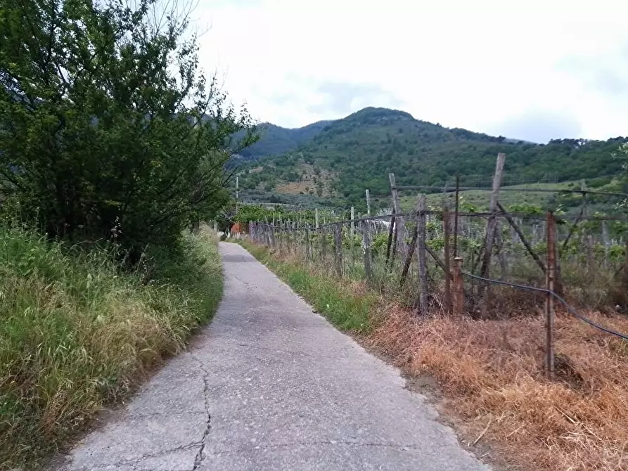 Immagine 2 di Terreno agricolo in vendita  in Via Villa Venere 1 a Sarno