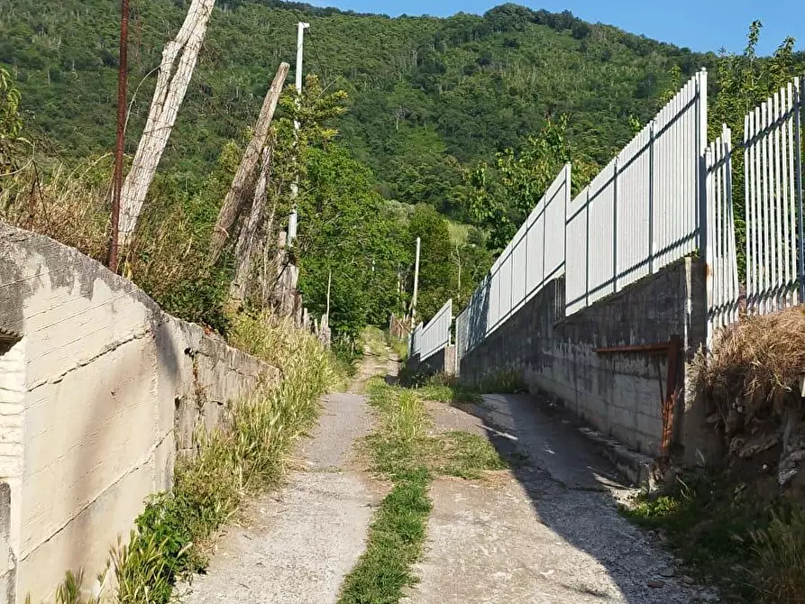 Immagine 2 di Terreno agricolo in vendita  in Via Sant'Eramo 2 a Sarno