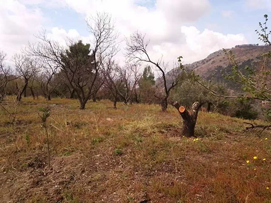 Immagine 5 di Terreno agricolo in vendita  in Via Bracigliano 1 a Sarno