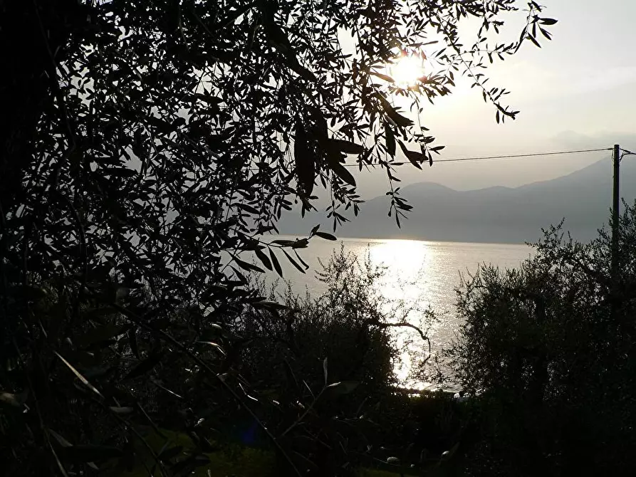 Immagine 1 di Casa vacanze in affitto  in Località Frader 50 50 a Torri Del Benaco