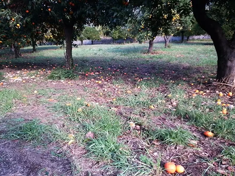 Immagine 5 di Terreno in vendita  in Via Mura D'Arci 1 a Sarno