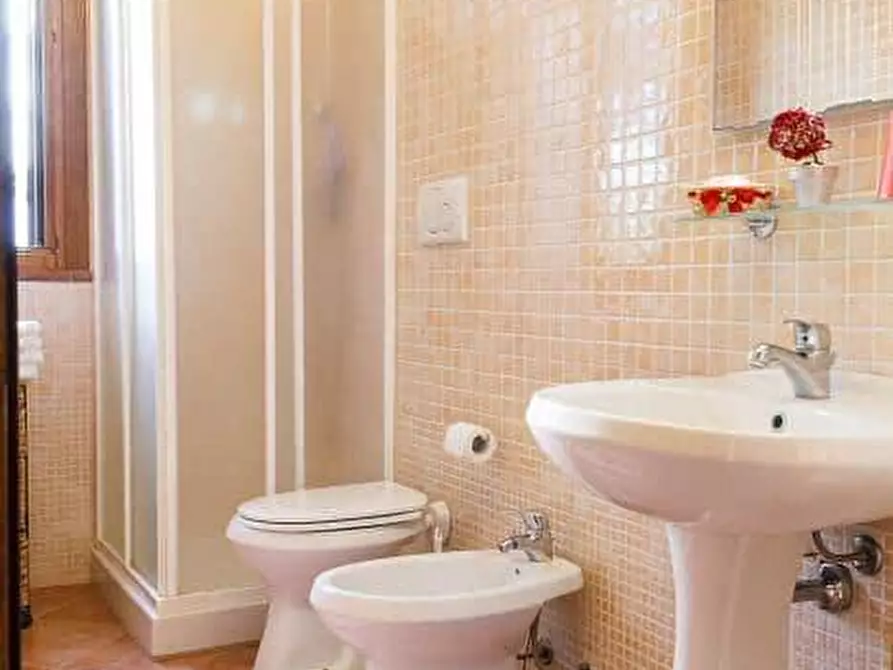 Immagine 3 di Appartamento in affitto  a Grosseto