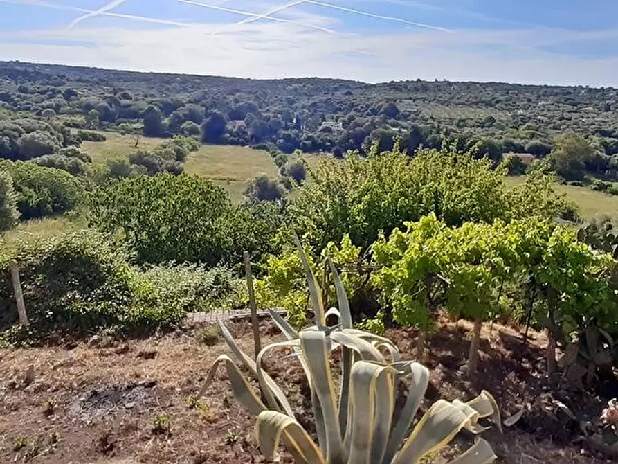 Immagine 3 di Villa in vendita  in SV Filigheddu 10 a Sassari