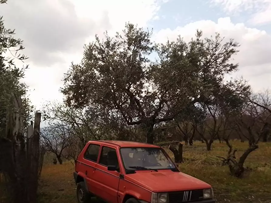 Immagine 2 di Terreno agricolo in vendita  in Via Bracigliano 1 a Sarno