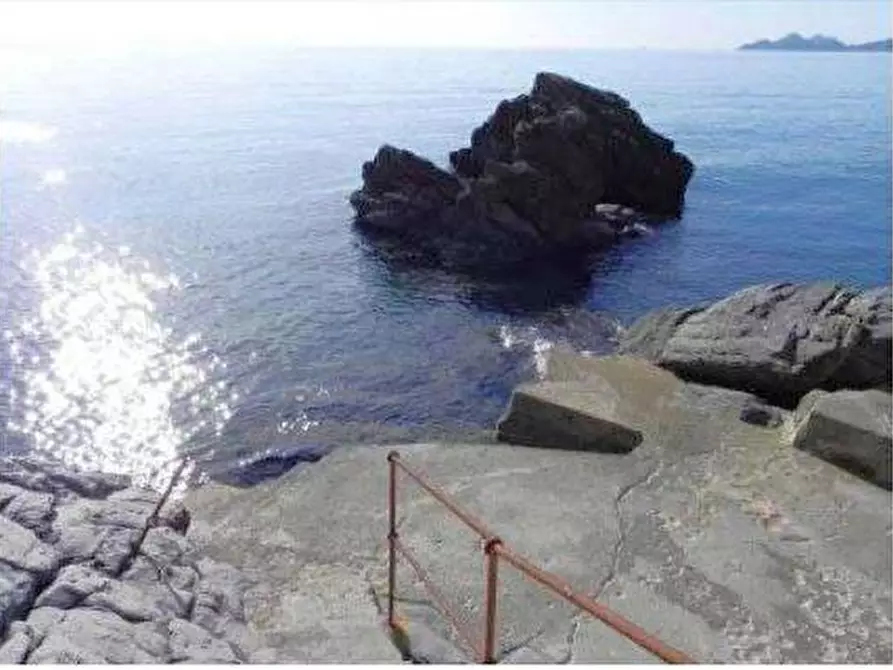 Immagine 5 di Villa in vendita  in VIA AURELIA 237 a Zoagli