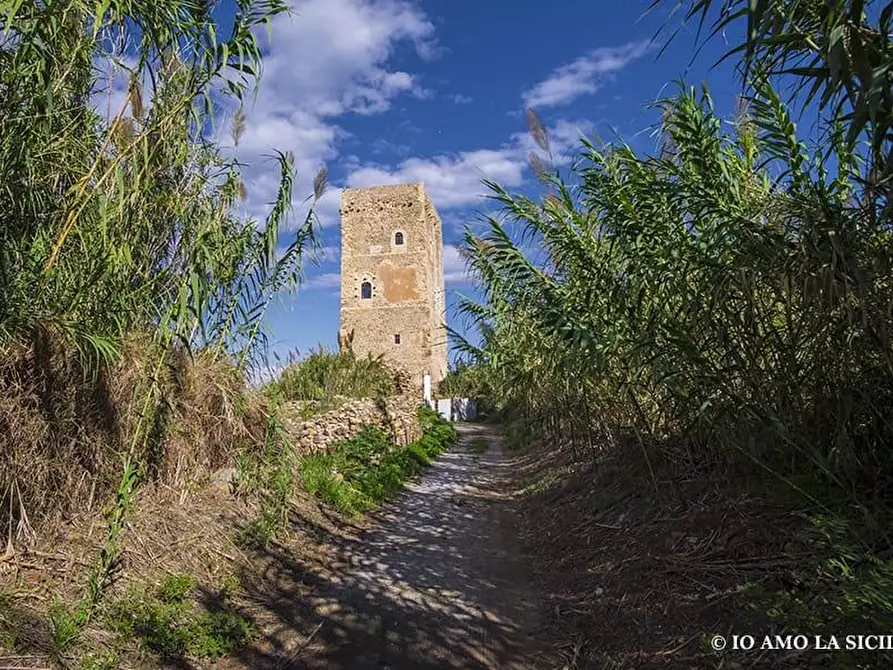 Immagine 10 di Villa in affitto  in via del mirto 6 a Campofelice Di Roccella
