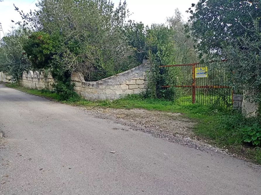 Immagine 2 di Terreno agricolo in vendita  in SV Taniga Baldella snc a Sassari